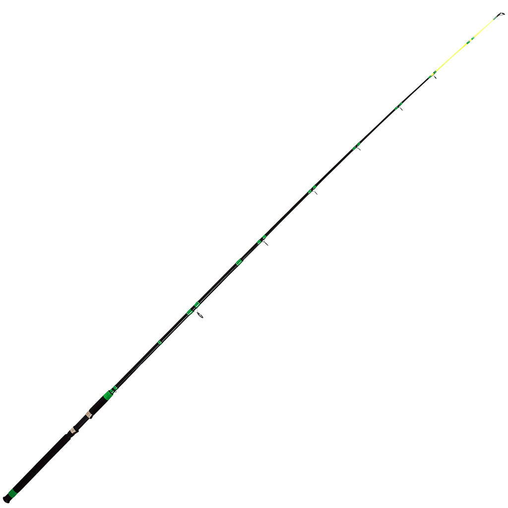2 Piece Medium Heavy Catfish Rod G95655