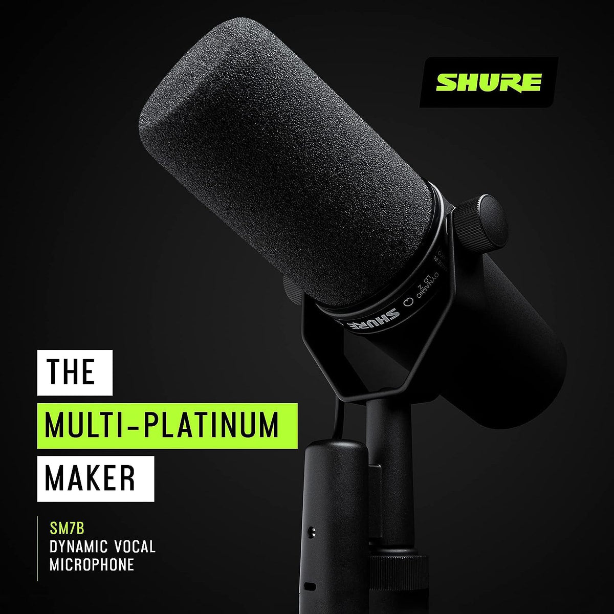 Dynamic Vocal Microphone with XLR Cable Y10475