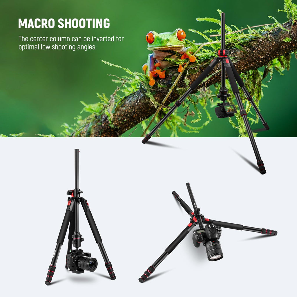 72 Inch Camera Tripod Monopod with Ball Head R50611