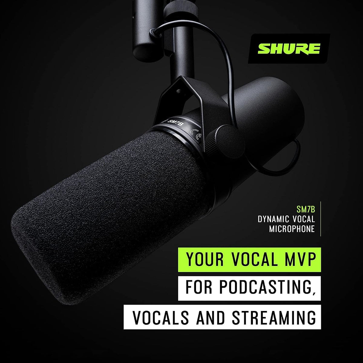 Dynamic Vocal Microphone with XLR Cable Y10475