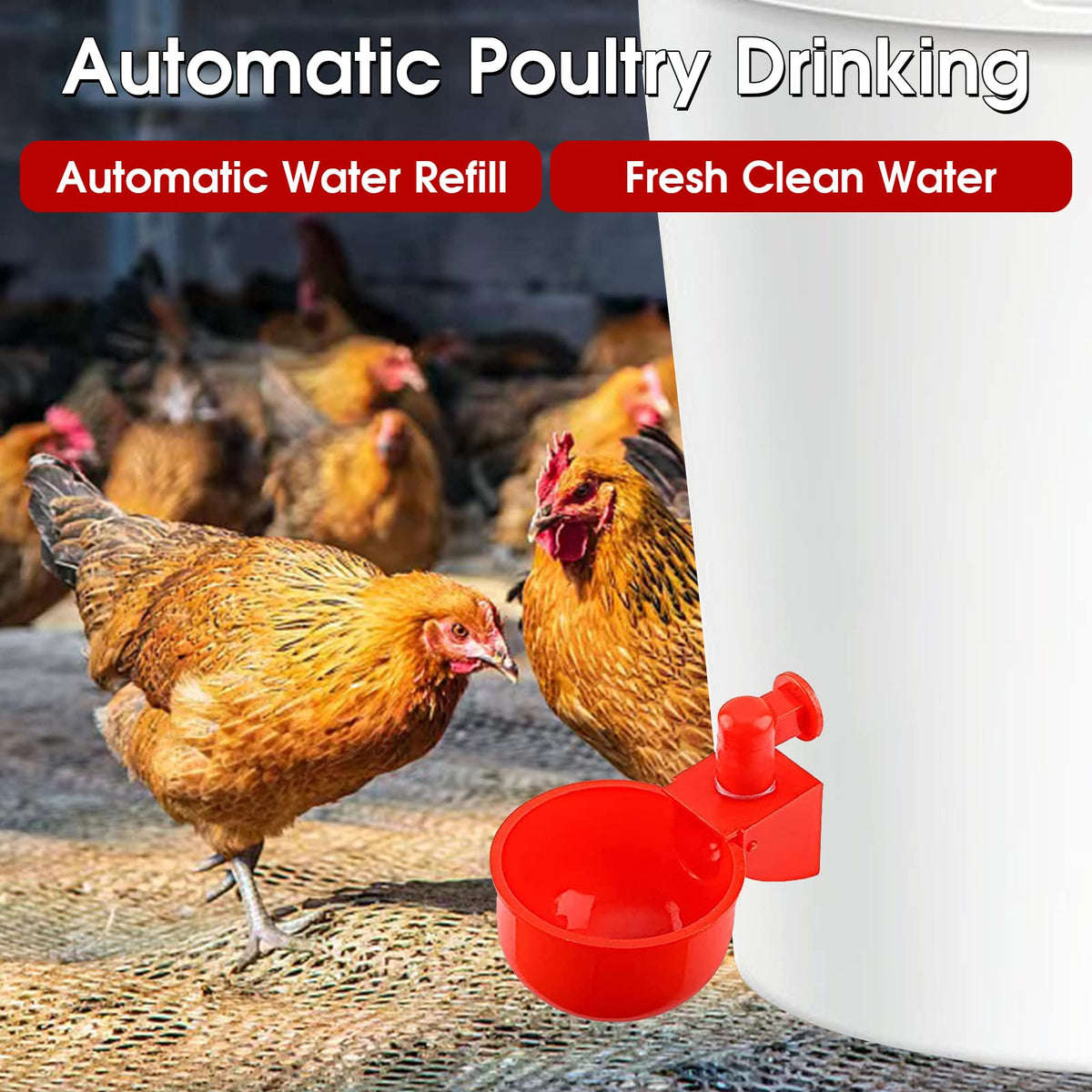 Automatic Poultry Waterer Drinking Bowl D32606