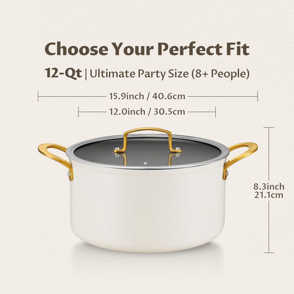 12QT Ceramic Nonstick Stock Pot with Lid D2557