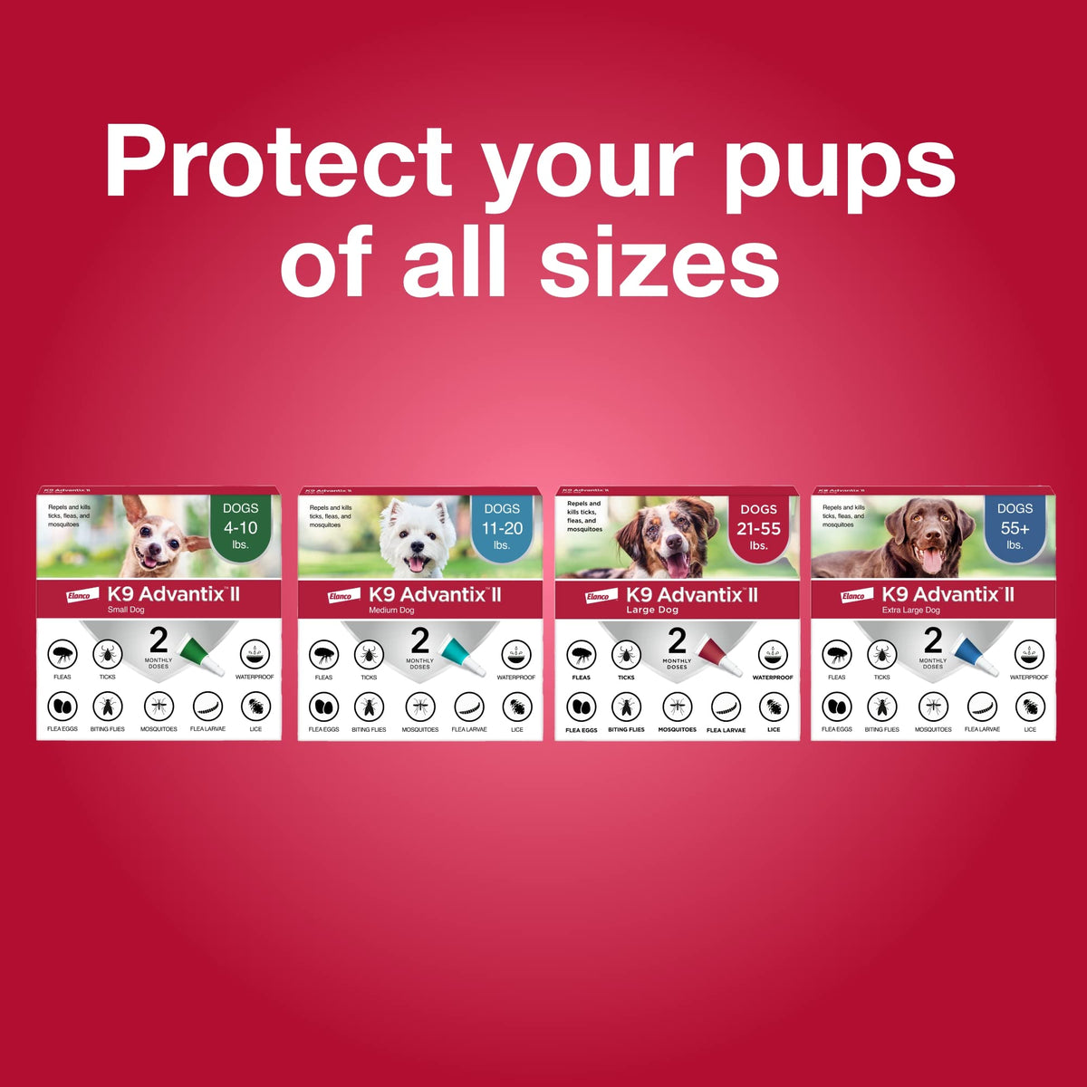 Flea, Tick & Mosquito Treatment & Prevention for Dogs 4-10 lbs B355