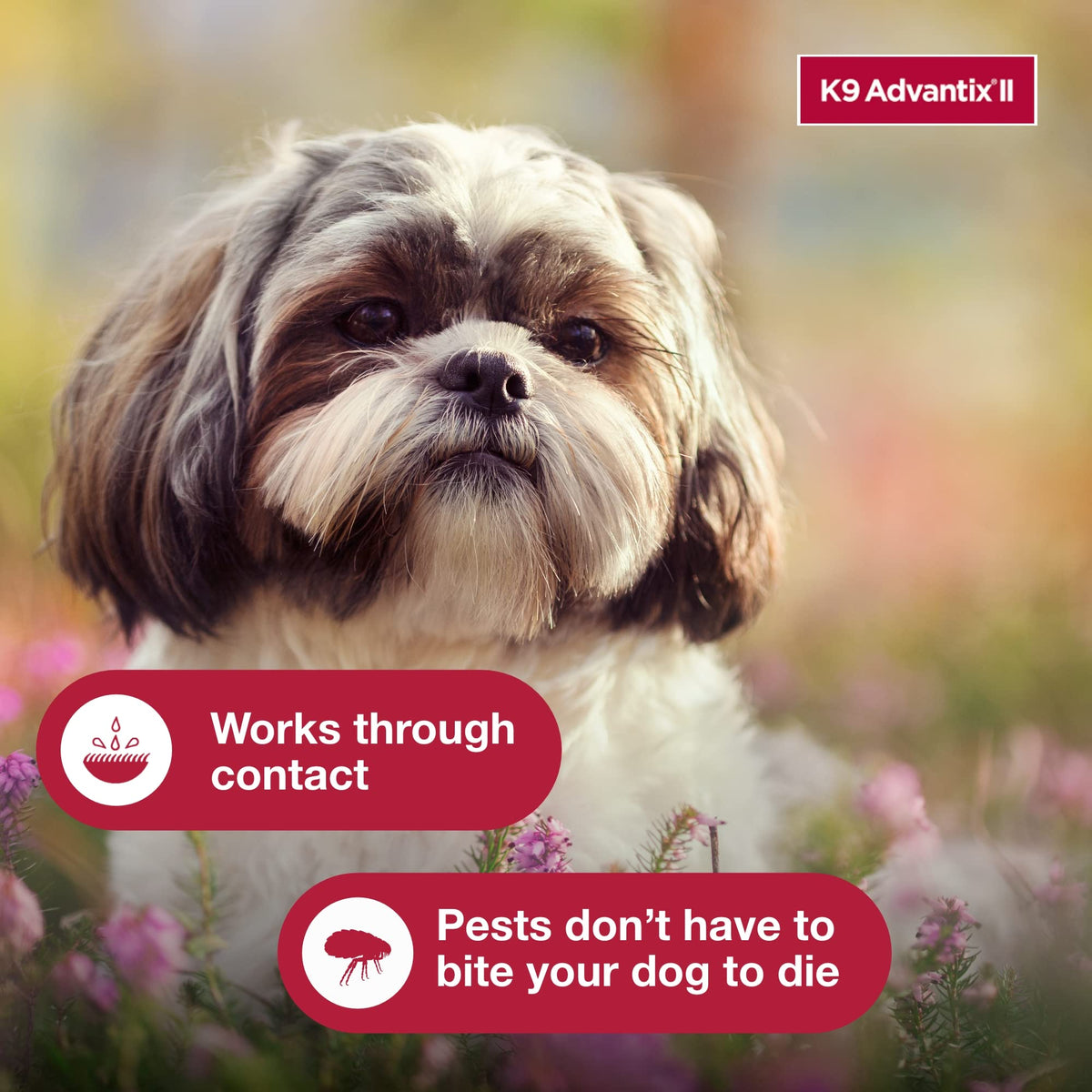 Flea, Tick & Mosquito Treatment & Prevention for Dogs 4-10 lbs B355