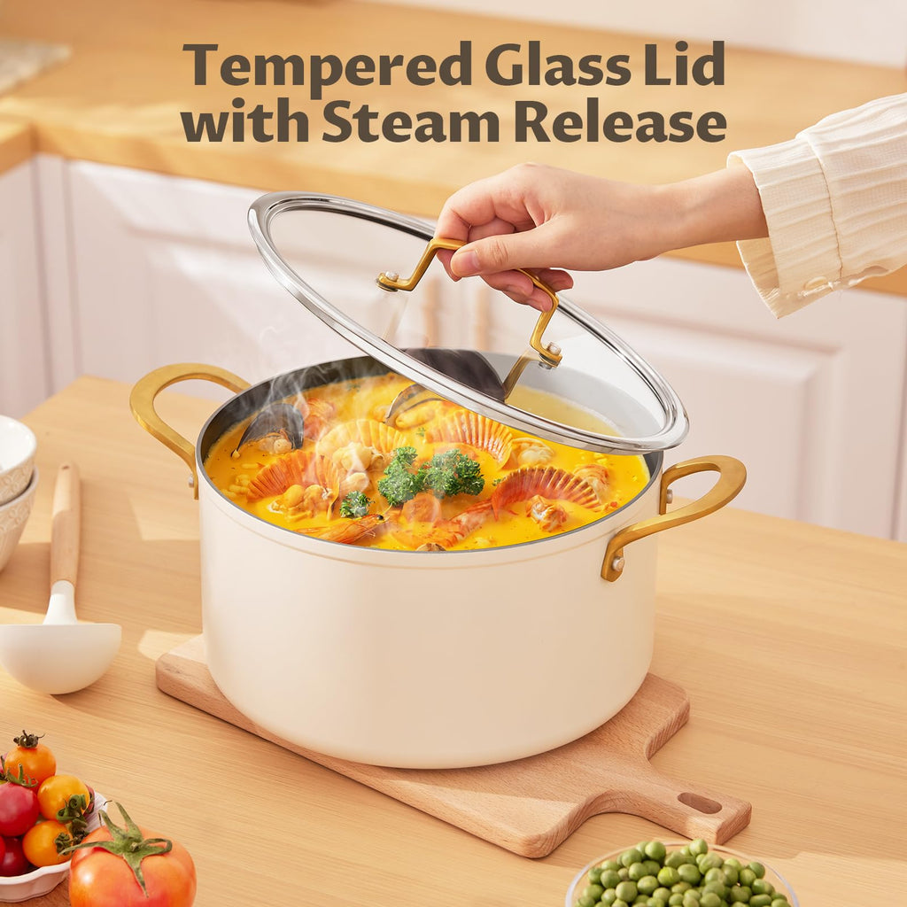 12QT Ceramic Nonstick Stock Pot with Lid D2557