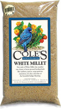 White Millet Bird Seed 20-Pound G195700