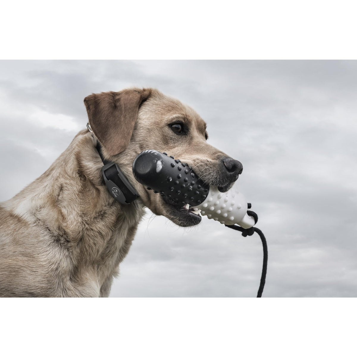 Waterproof Remote Trainer N1597
