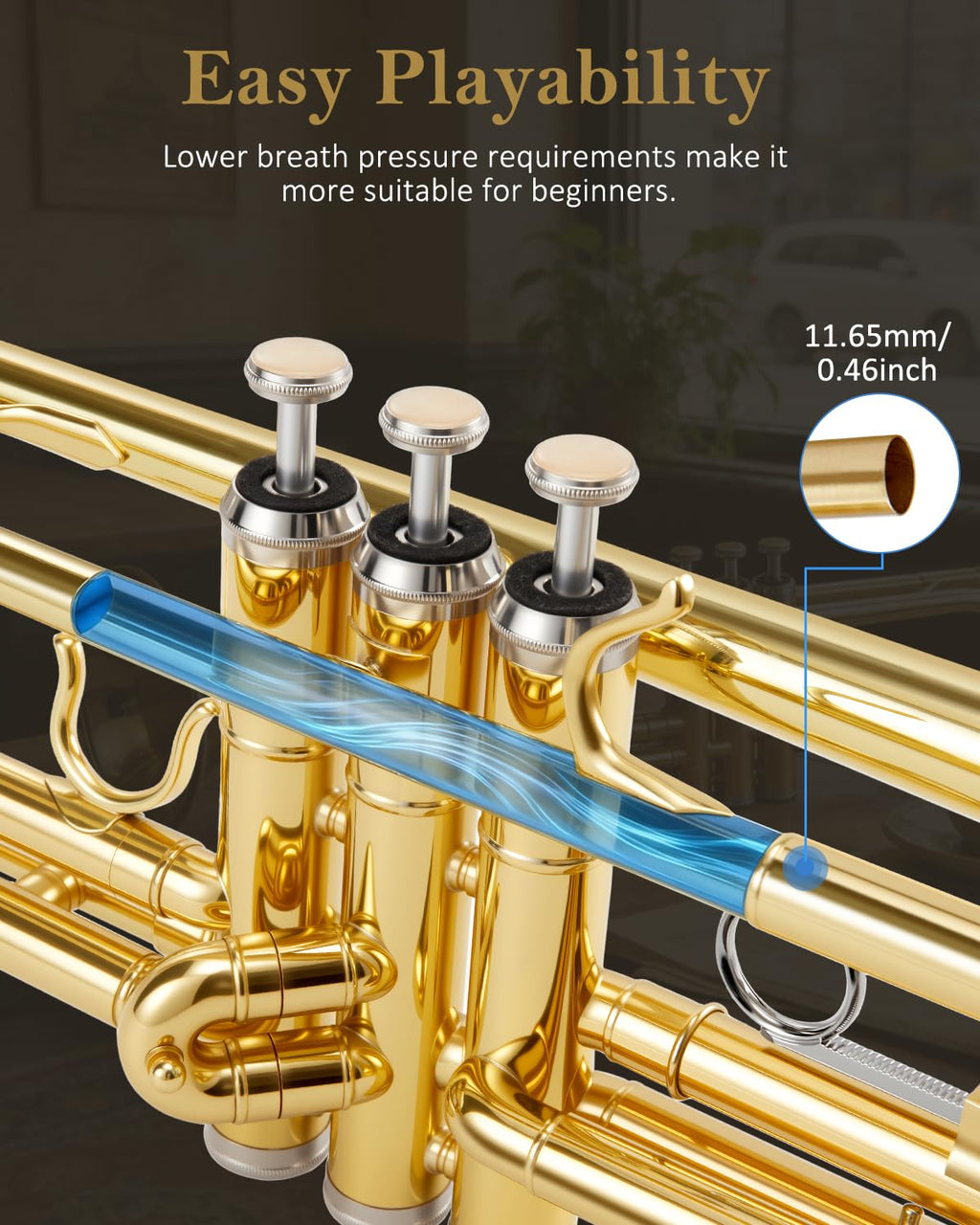Bb Standard Trumpet Set U28222