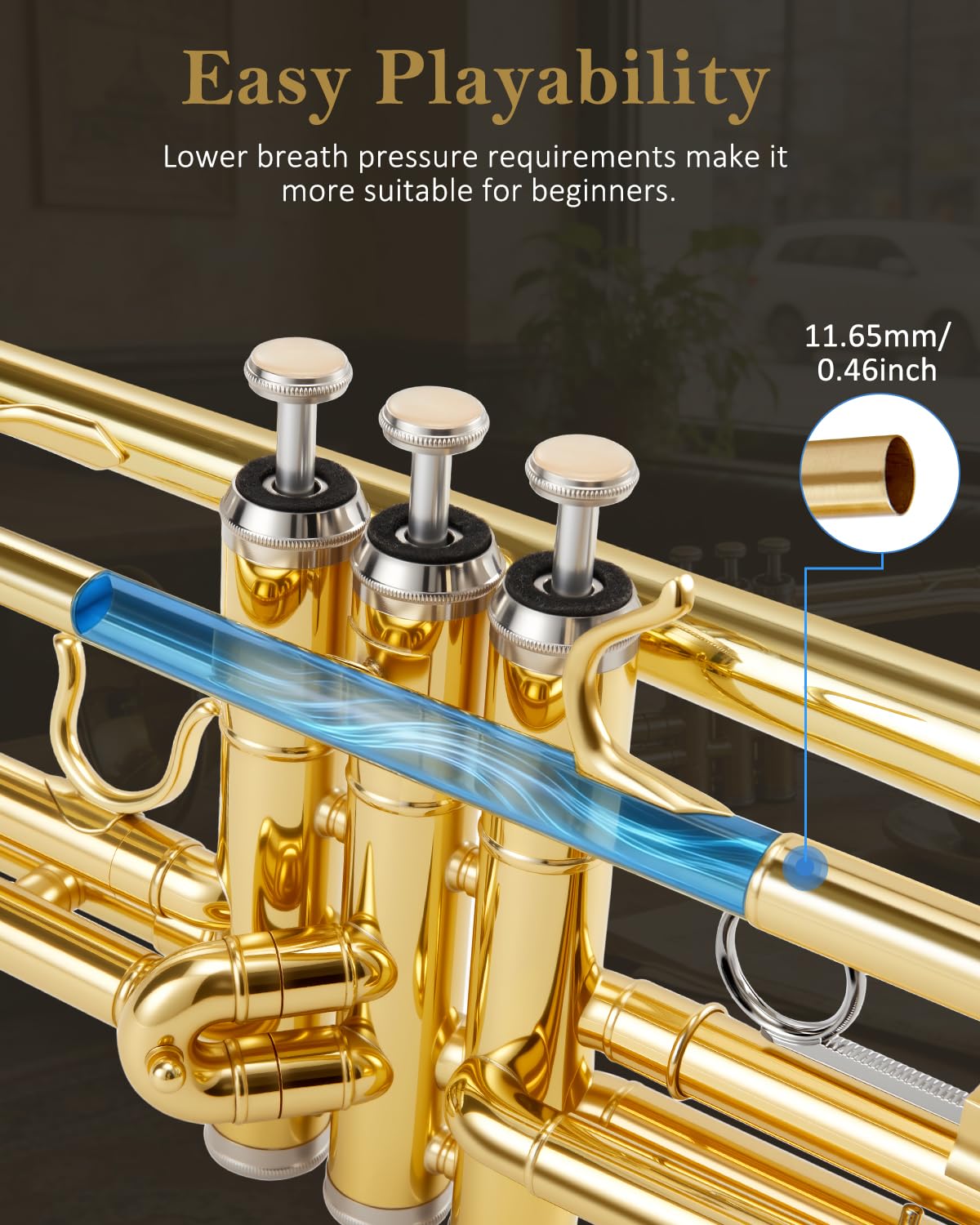 Bb Standard Trumpet Set U28222