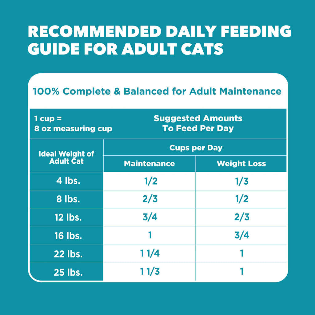 Indoor Dry Cat Food Chicken & Turkey 7 lb J8212