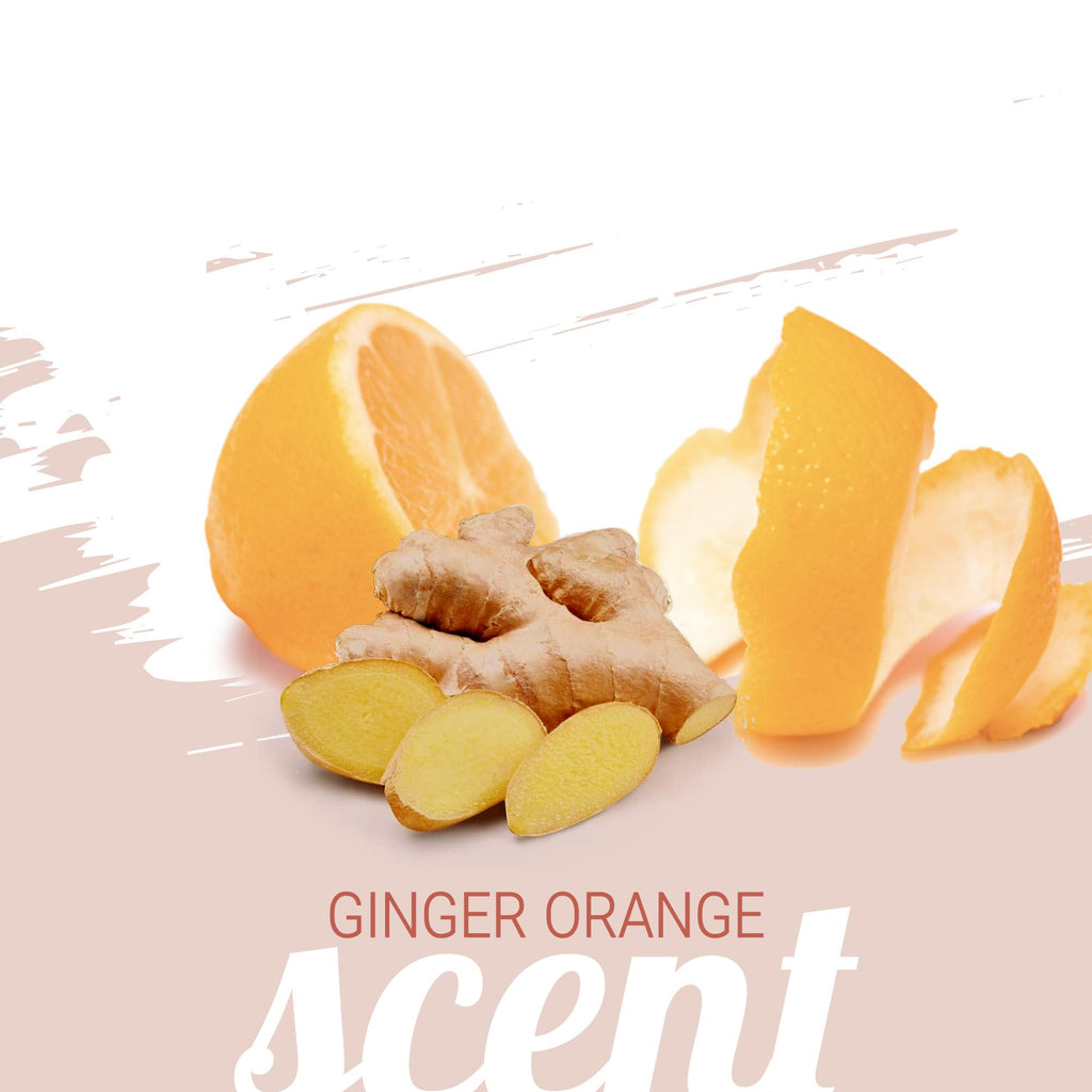 Ginger Orange Calming Dog Shampoo 1 Gallon V980884
