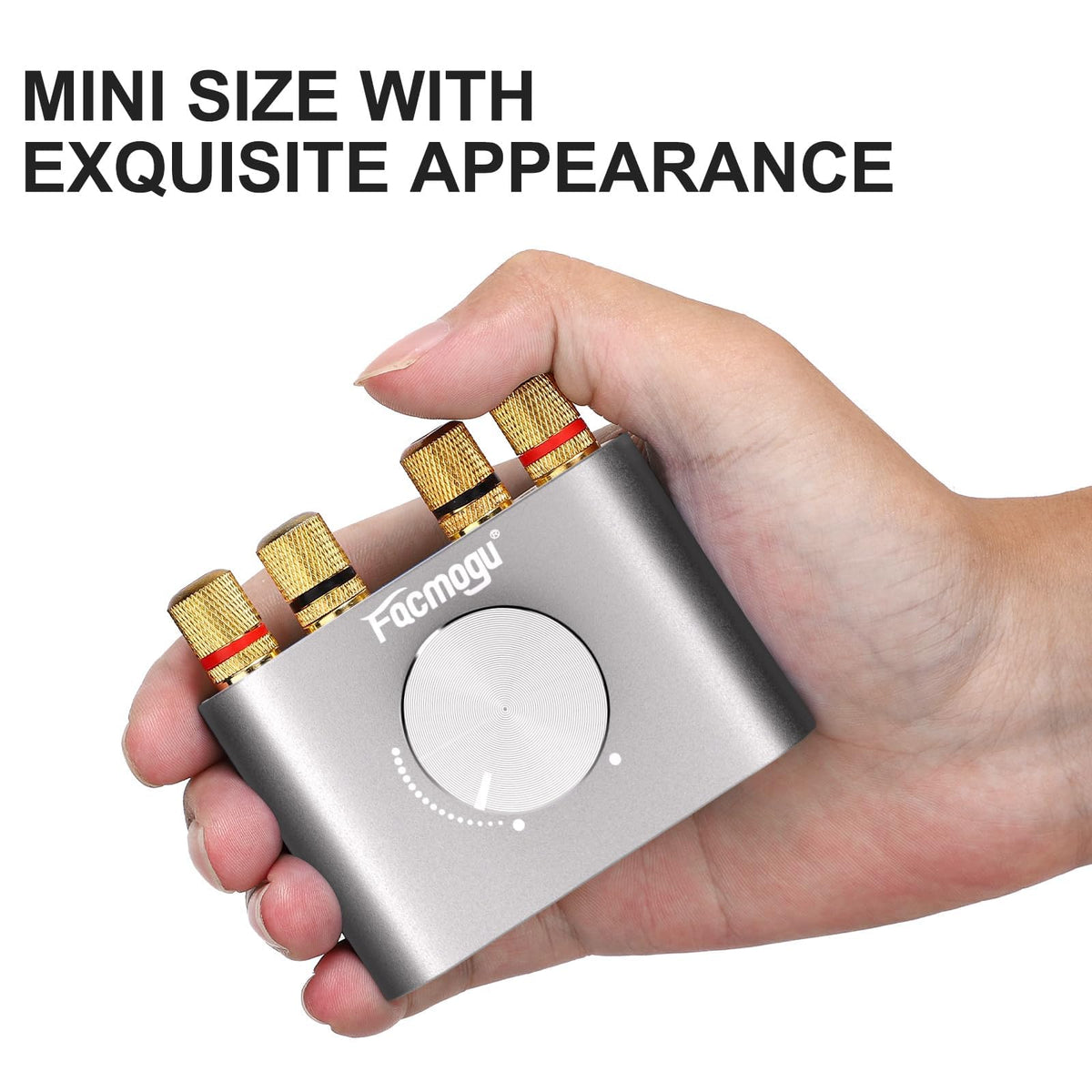 Bluetooth 5.0 Mini Power Amplifier P899800