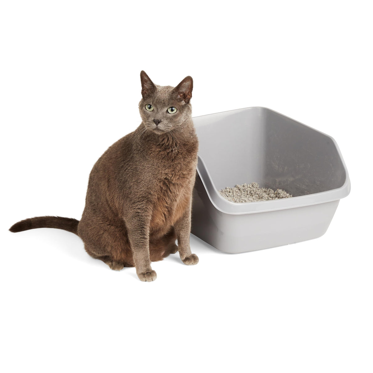 Grey Large High-Back Litter Box R287534