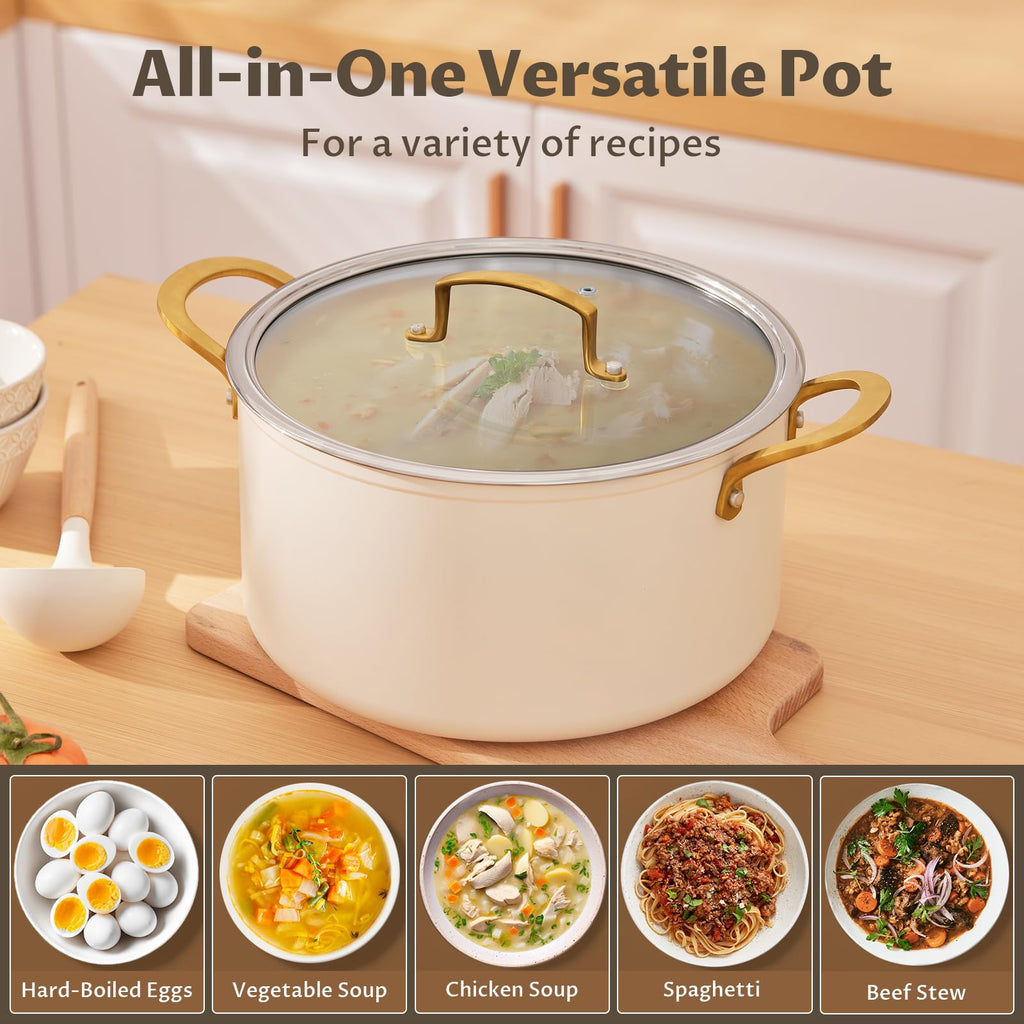 12QT Ceramic Nonstick Stock Pot with Lid D2557