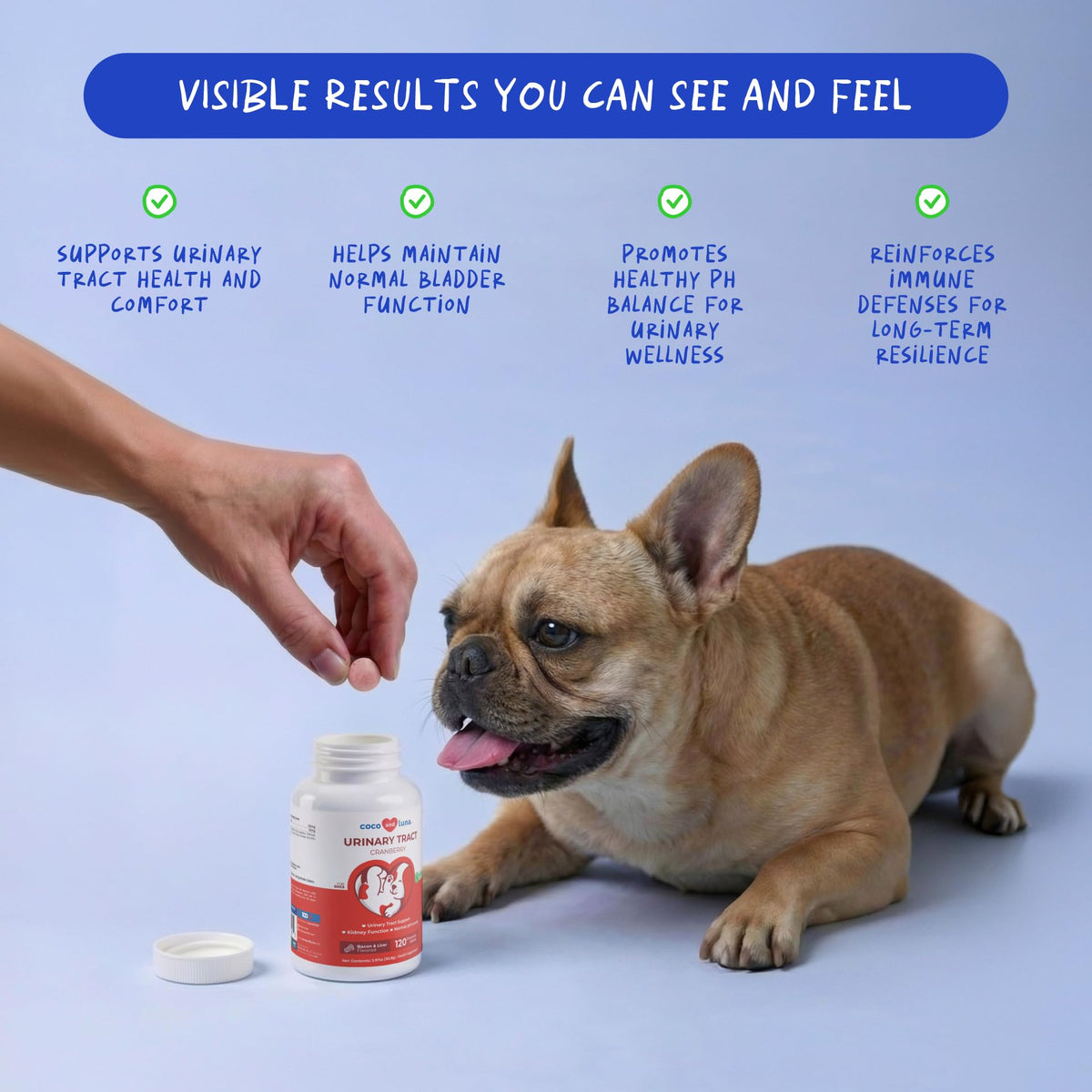 Cranberry Supplement for Dogs 120 ct F83890