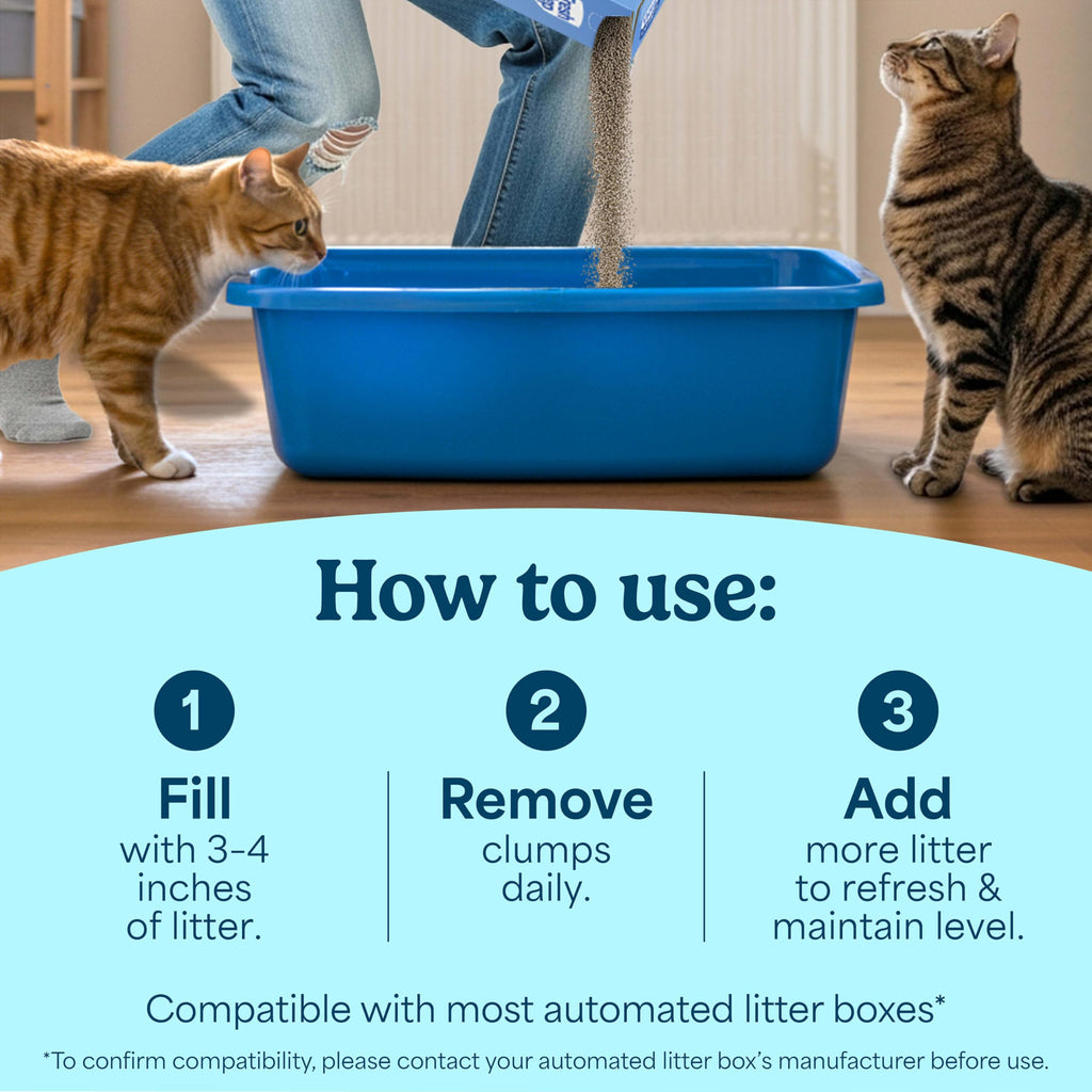 Multi Cat Clumping Litter, Unscented, 22 lb. Box V655