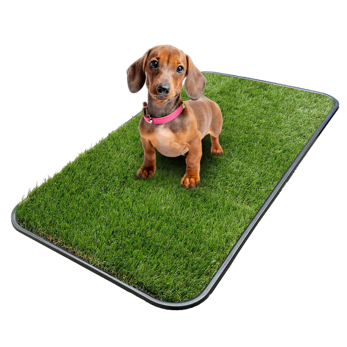 Artificial Grass Puppy Potty Training Pad with Tray, 15" x 30" Reusable U30343