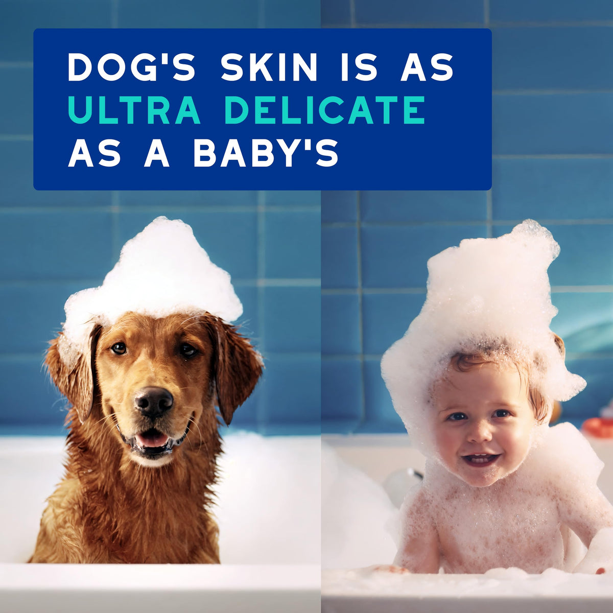 Dog Shampoo 16 fl oz A9197