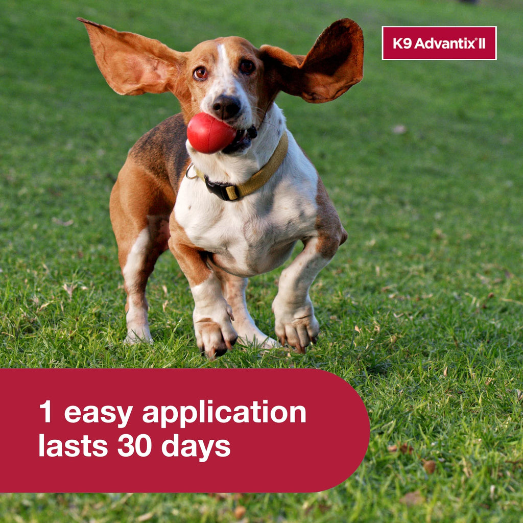 Flea, Tick & Mosquito Treatment & Prevention for Dogs 4-10 lbs B355