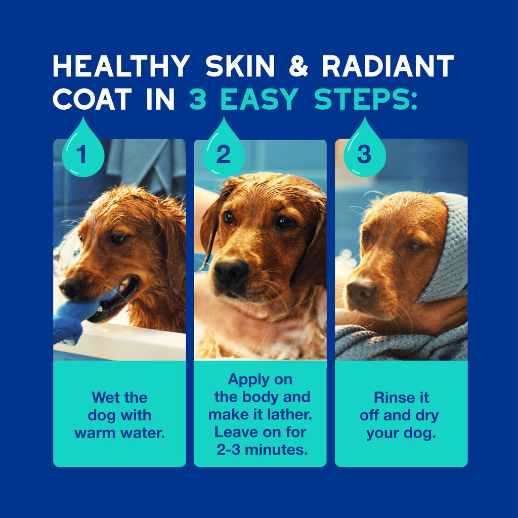 Dog Shampoo 16 fl oz A9197