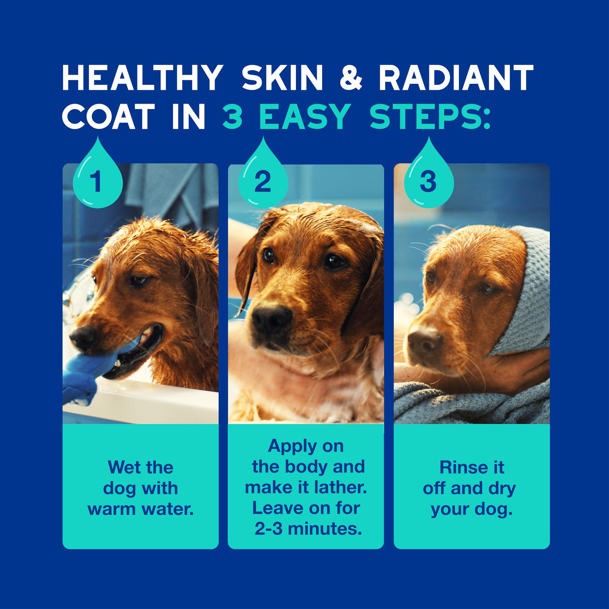 Dog Shampoo 16 fl oz A9197