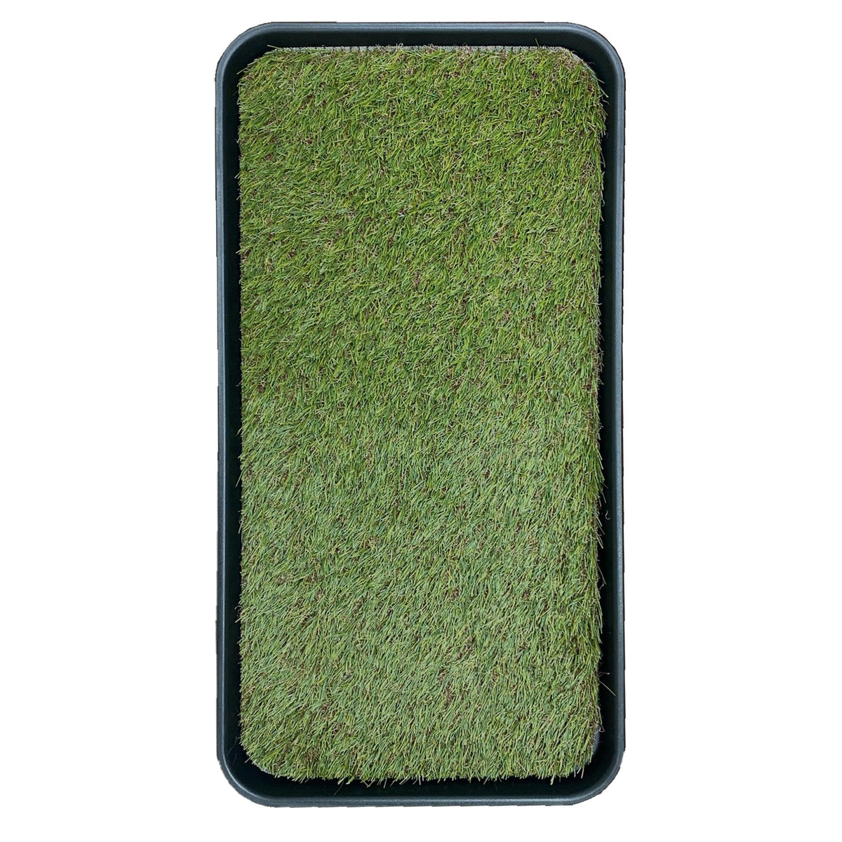 Artificial Grass Puppy Potty Training Pad with Tray, 15" x 30" Reusable U30343