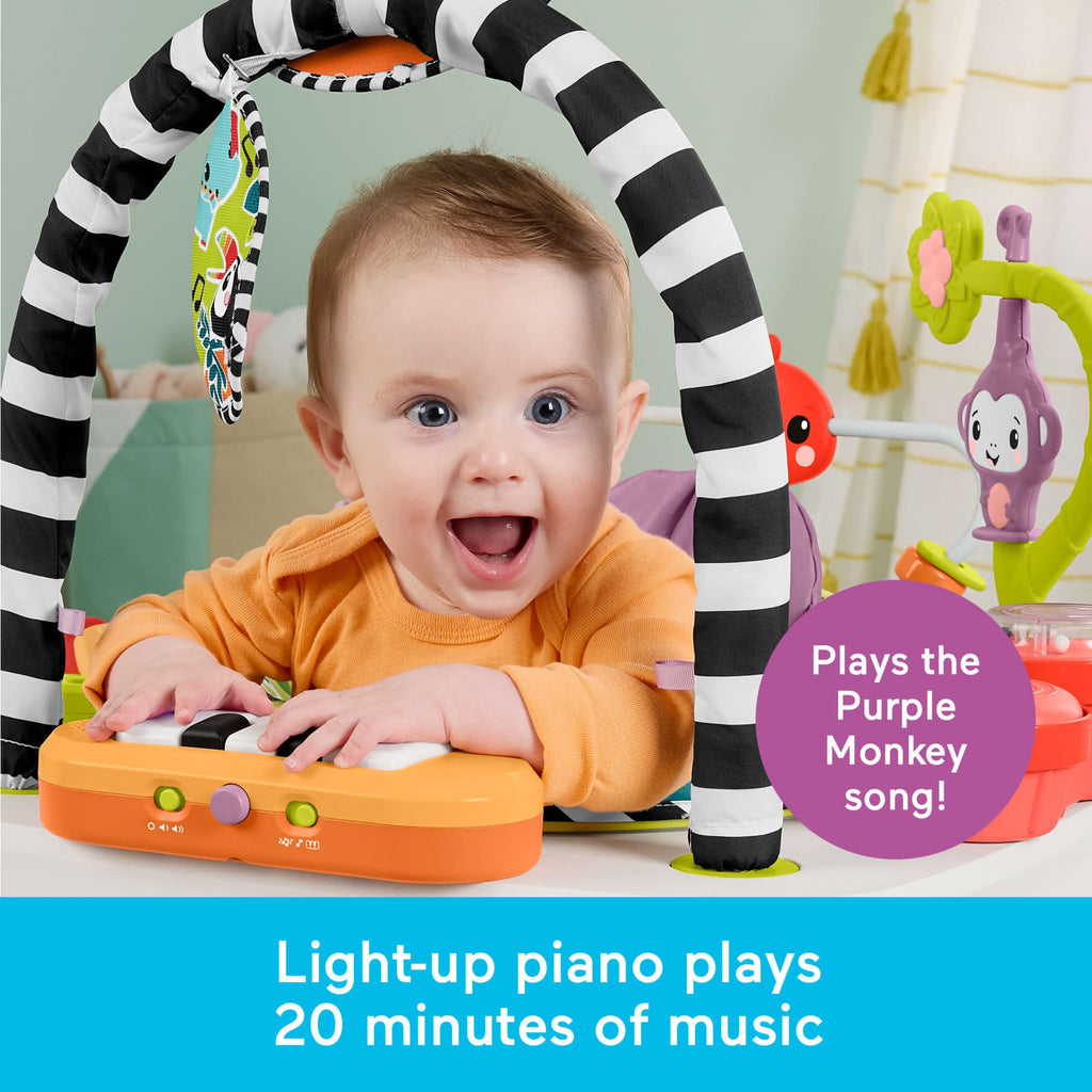 Purple Monkey Musical Activity Center Baby Toy T370595