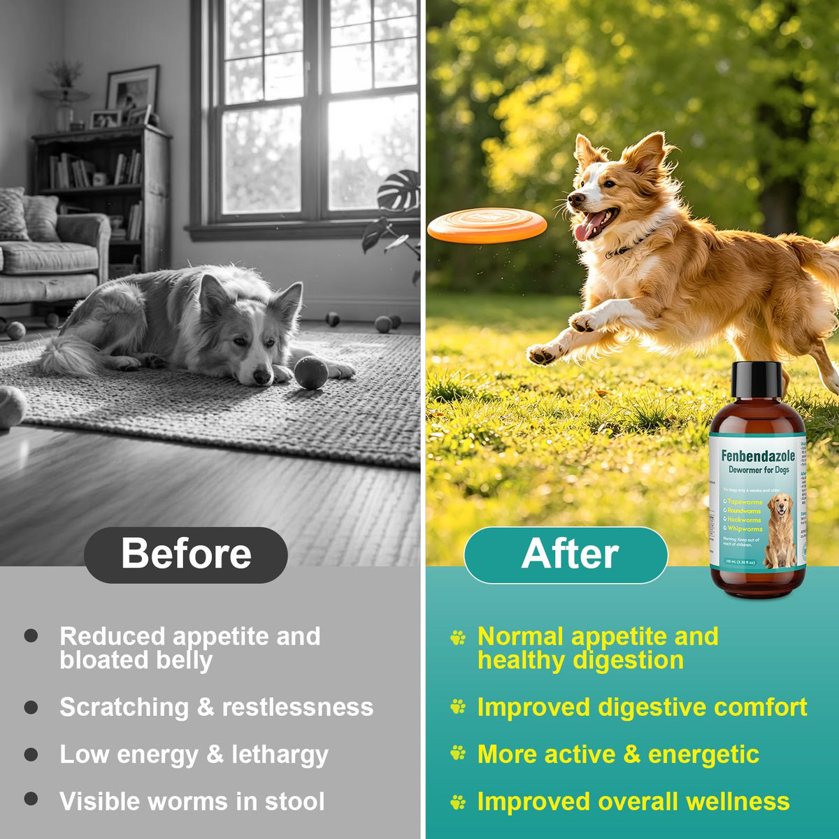 Dog Dewormer Liquid 100ml I7446