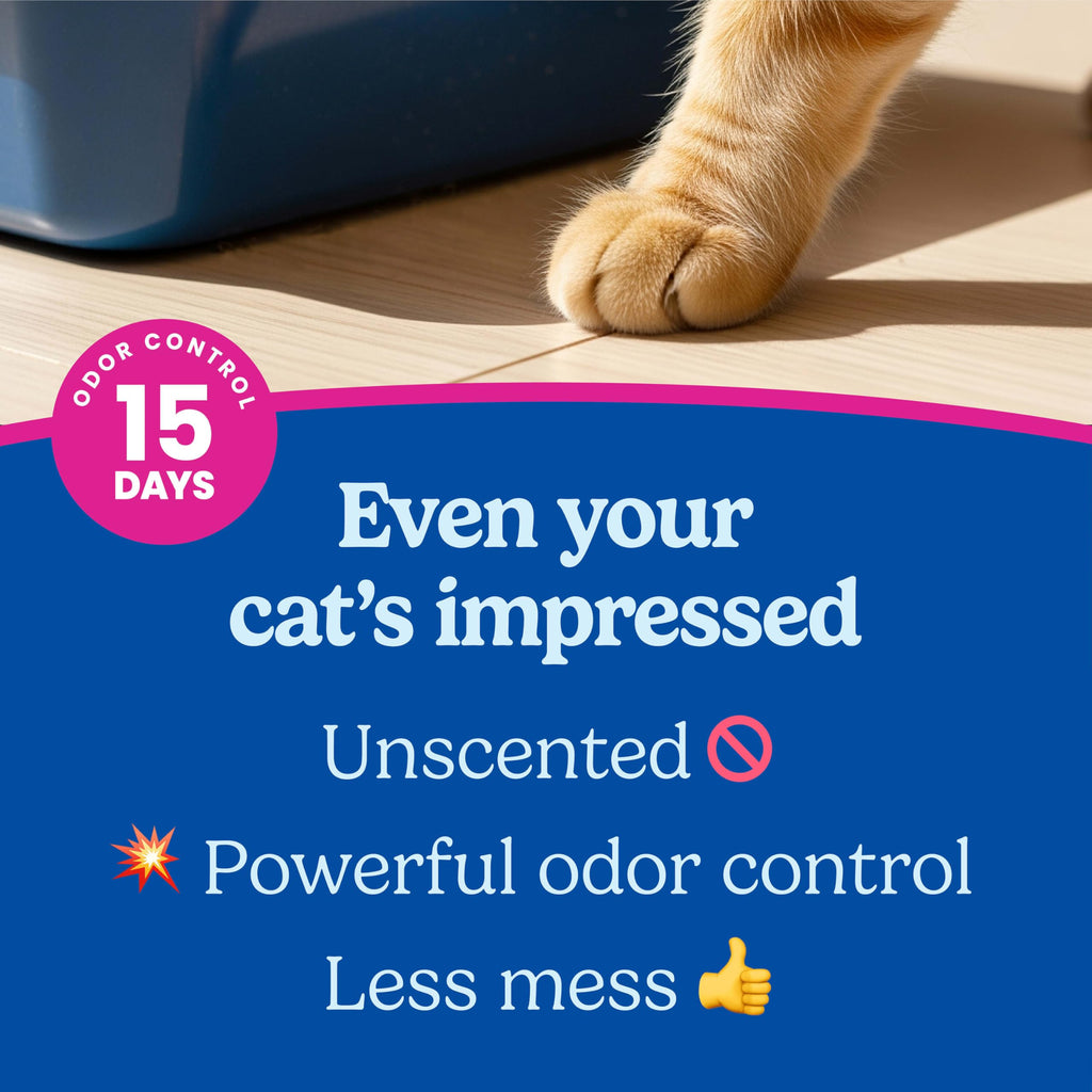 Multi Cat Clumping Litter, Unscented, 22 lb. Box V655