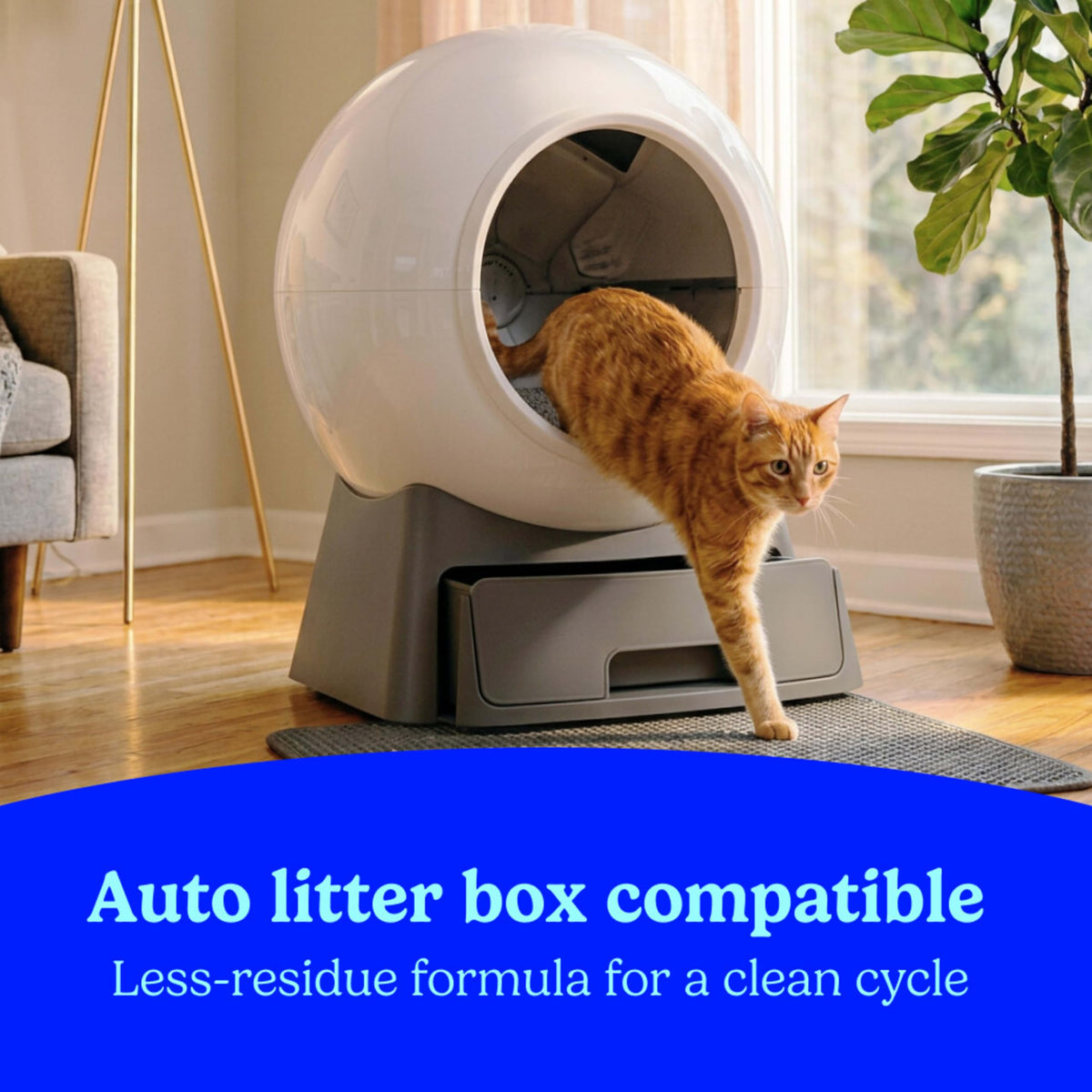 Multi Cat Clumping Litter, Unscented, 22 lb. Box V655