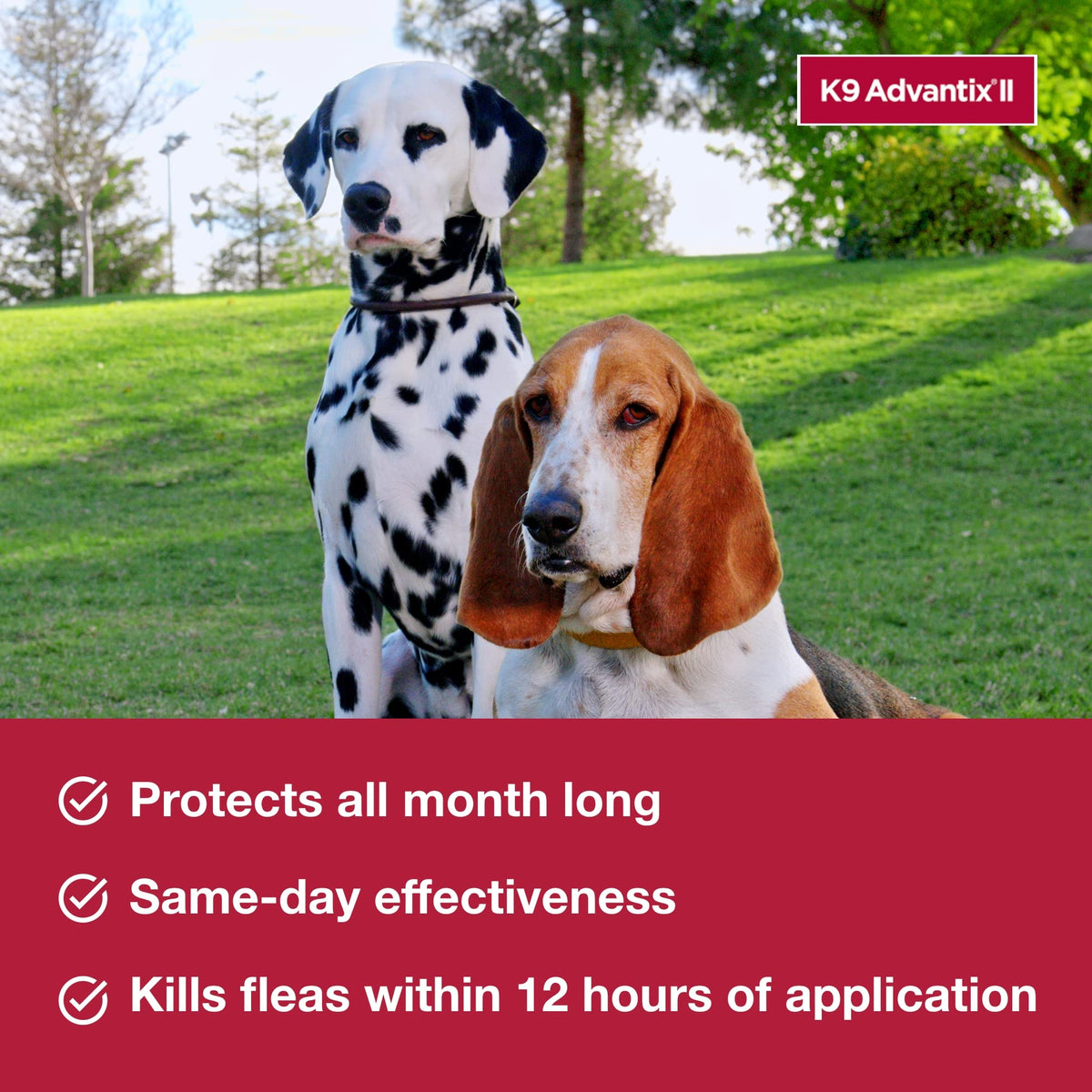 Flea, Tick & Mosquito Treatment & Prevention for Dogs 4-10 lbs B355
