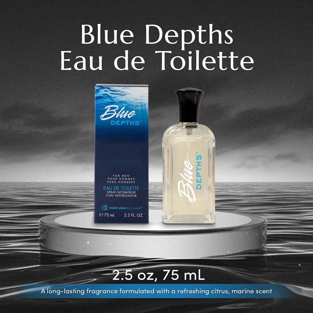 Blue Depths Eau de Toilette Fragrance Spray 2.5 Fl Oz G474476