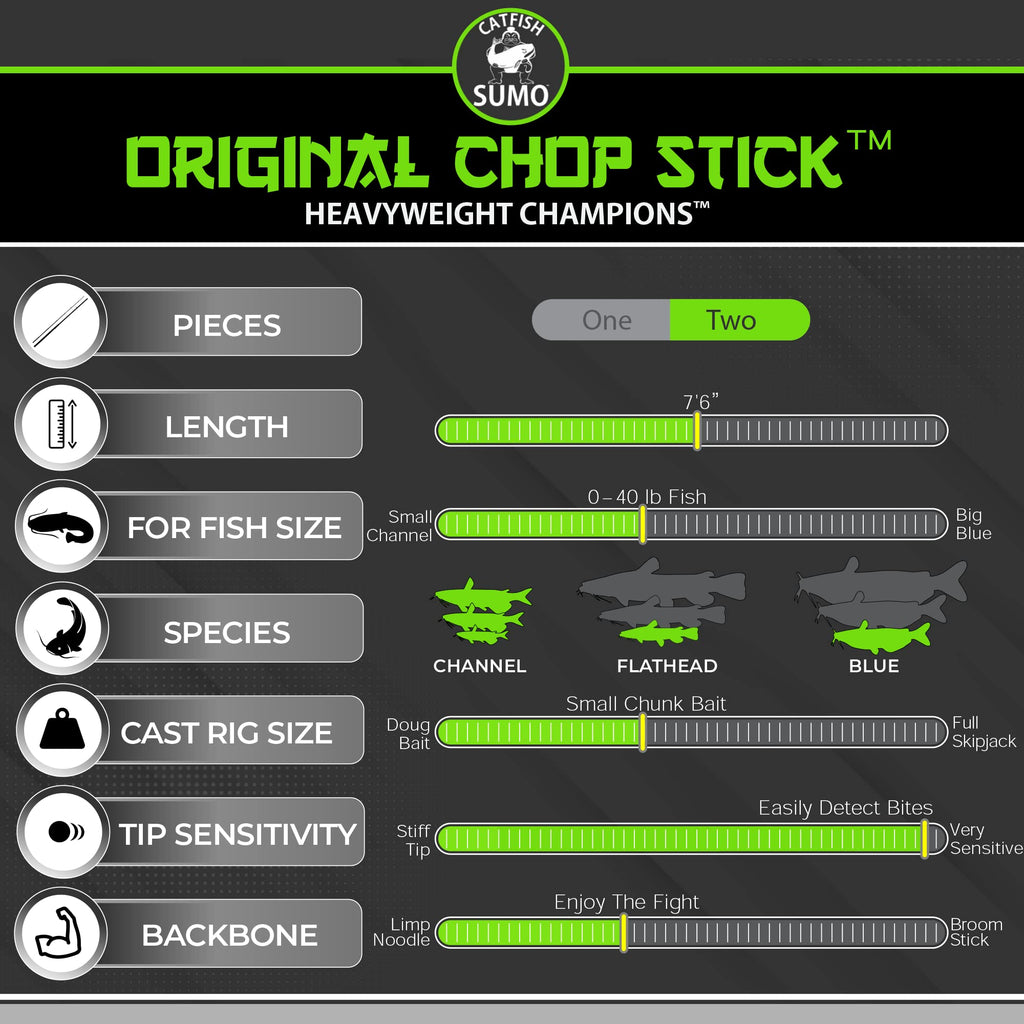 2 Piece Medium Heavy Catfish Rod G95655