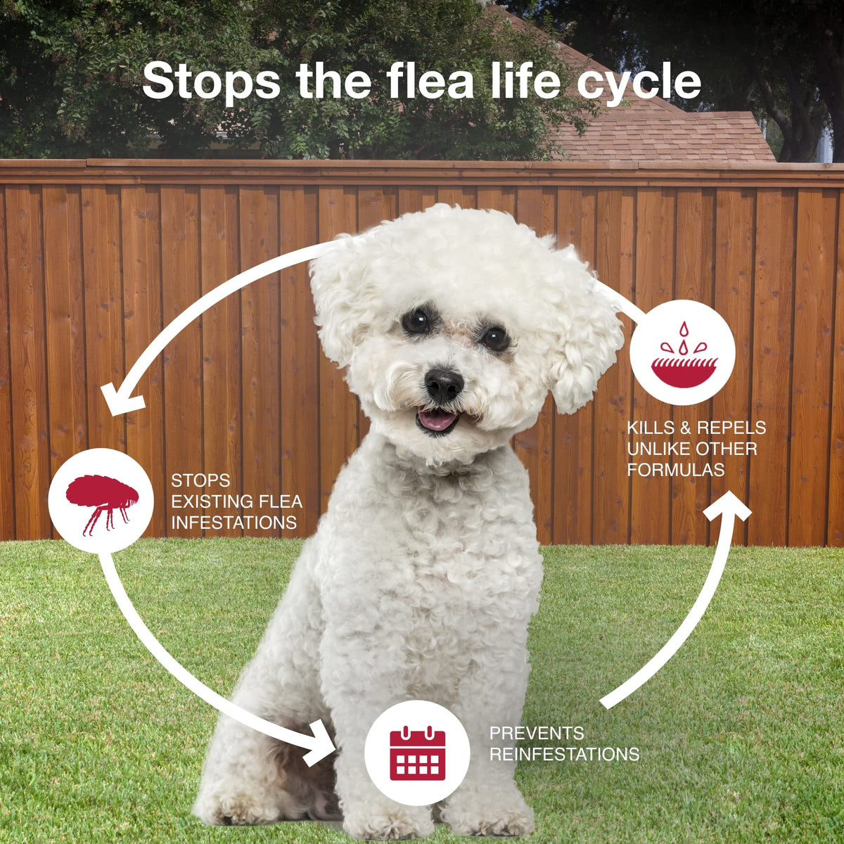 Flea, Tick & Mosquito Treatment & Prevention for Dogs 4-10 lbs B355