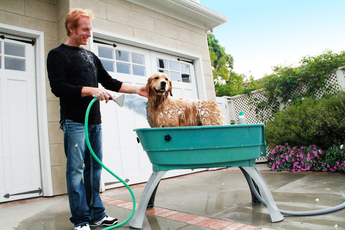 Elevated Pet Bathing Large C384005