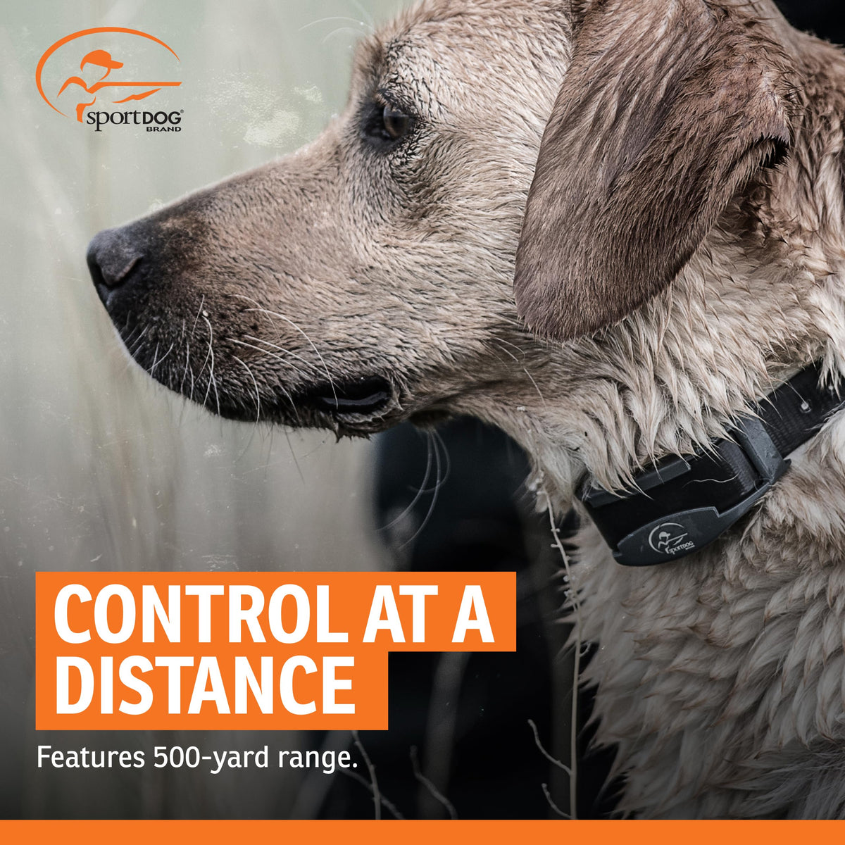 Waterproof Remote Trainer N1597