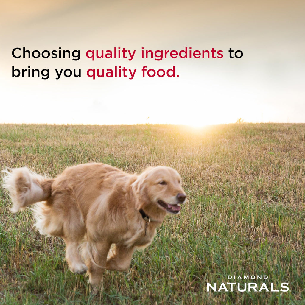 Chicken Puppy Dry Dog Food 6lb L216955