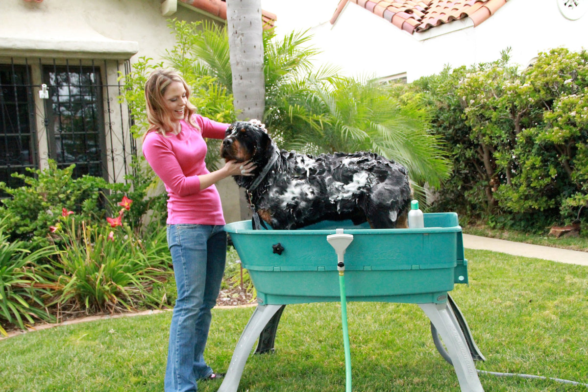 Elevated Pet Bathing Large C384005