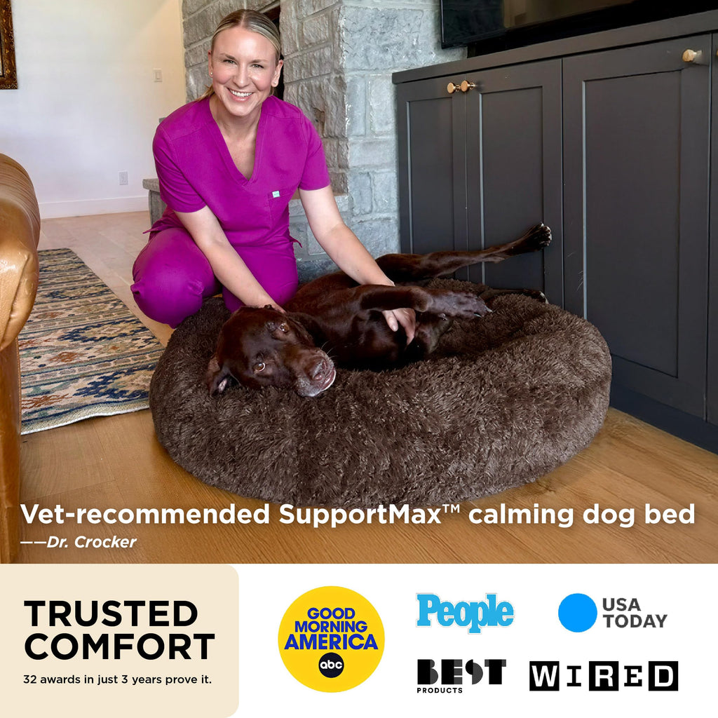 Washable Pet Bed F973